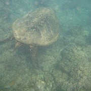 Picture 113